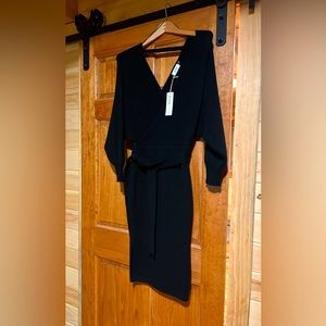 BluIvy sweater dress